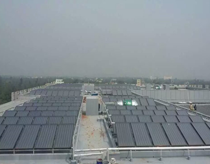 5e01c95db030f.jpg P5.jpg