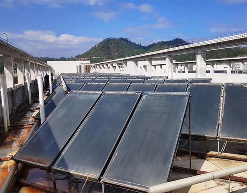 5e045d3f863ac.jpg guigi.jpg